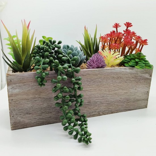 Plants Wooden Pots 